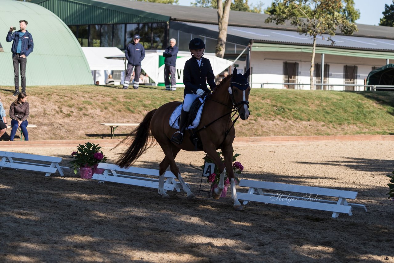 Bild 60 - Pony Akademie Turnier